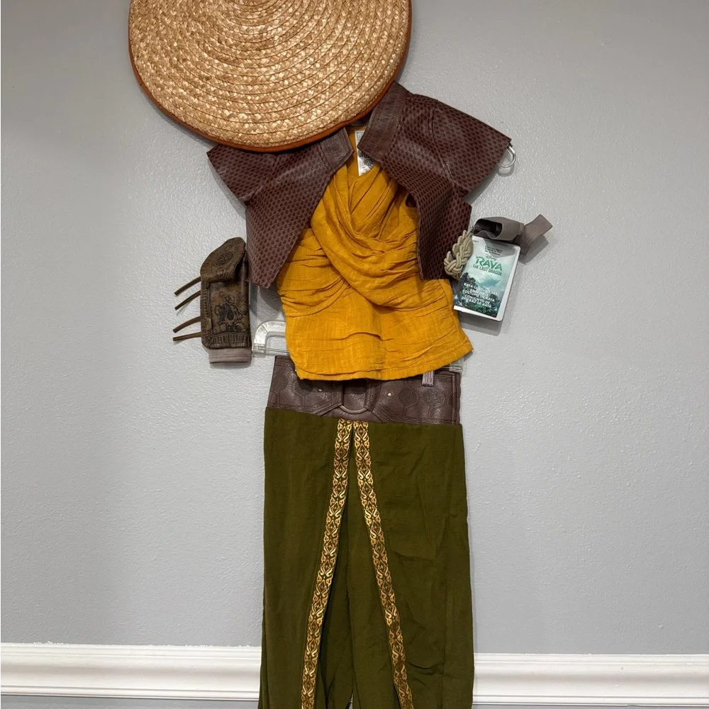 Disney Raya The Last Dragon Costume from the Park